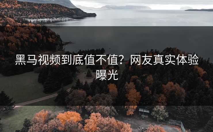 黑马视频到底值不值？网友真实体验曝光