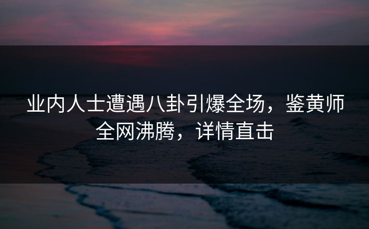 业内人士遭遇八卦引爆全场，鉴黄师全网沸腾，详情直击