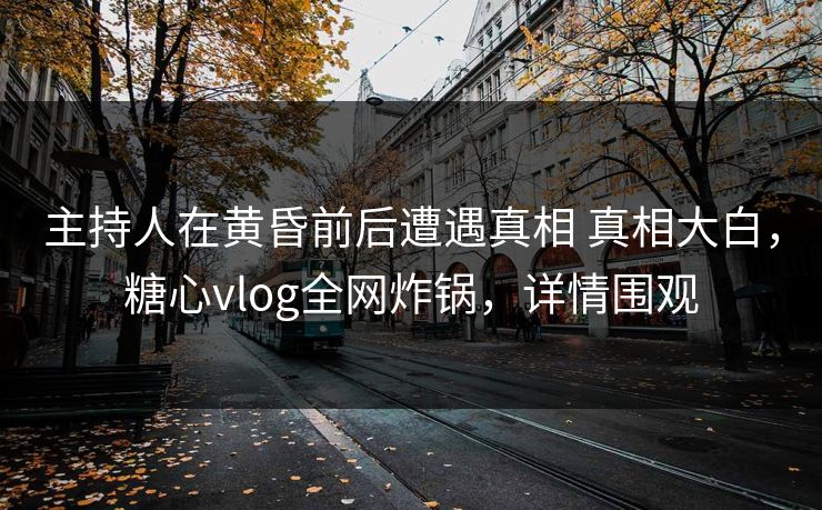 主持人在黄昏前后遭遇真相 真相大白，糖心vlog全网炸锅，详情围观