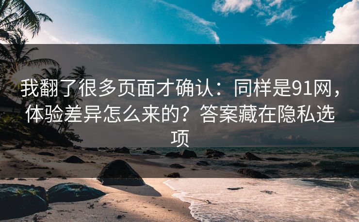 我翻了很多页面才确认：同样是91网，体验差异怎么来的？答案藏在隐私选项